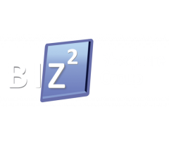 Bizsquare Management Consultants Pte. Ltd.