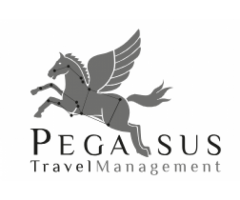 Pegasus Travel Management