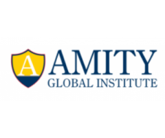 Amity Global Institute