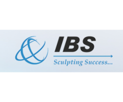 IBS Business Consulting Pte.Ltd