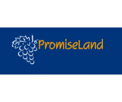 PromiseLand Independent Pte Ltd