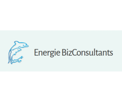 Energie BizConsultants Pte Ltd