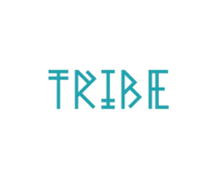 Tribe Tours